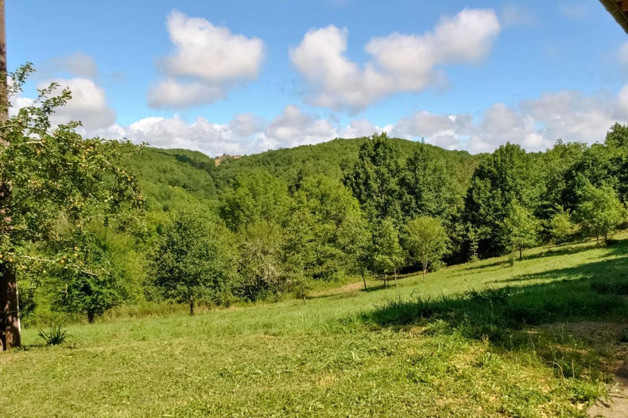 Villa Ancienne Sechoir A Tabac Idealement Place A Limeuil Pour 4 Dans La Nature Exterior foto